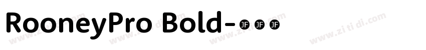 RooneyPro Bold字体转换